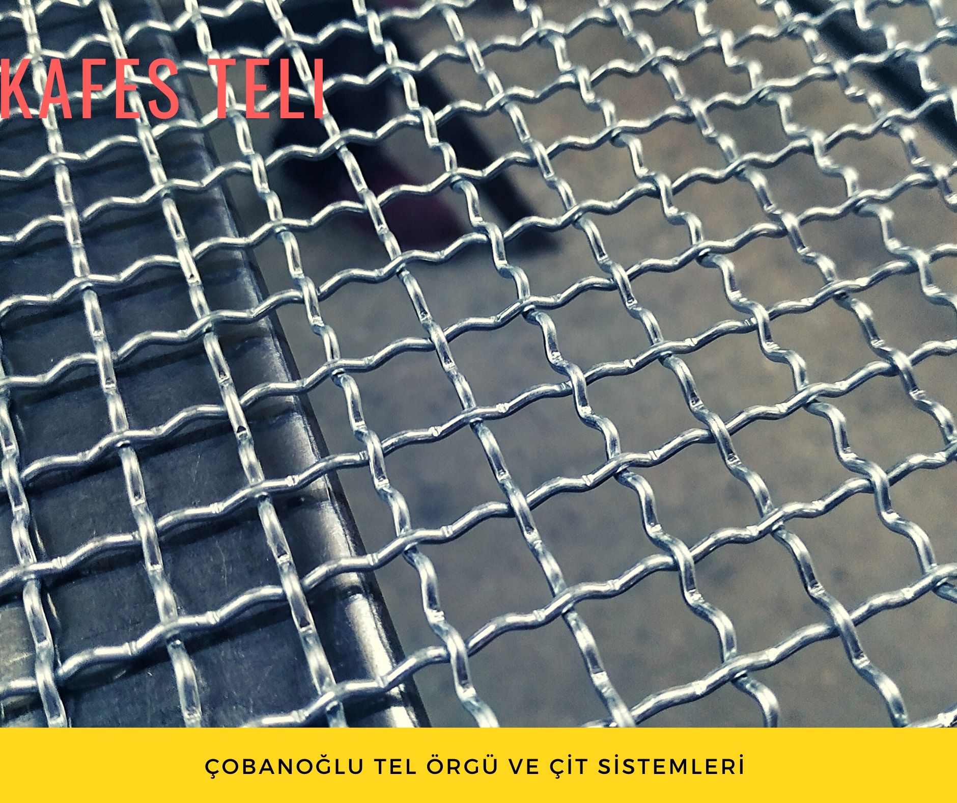 Bird Wire Mesh