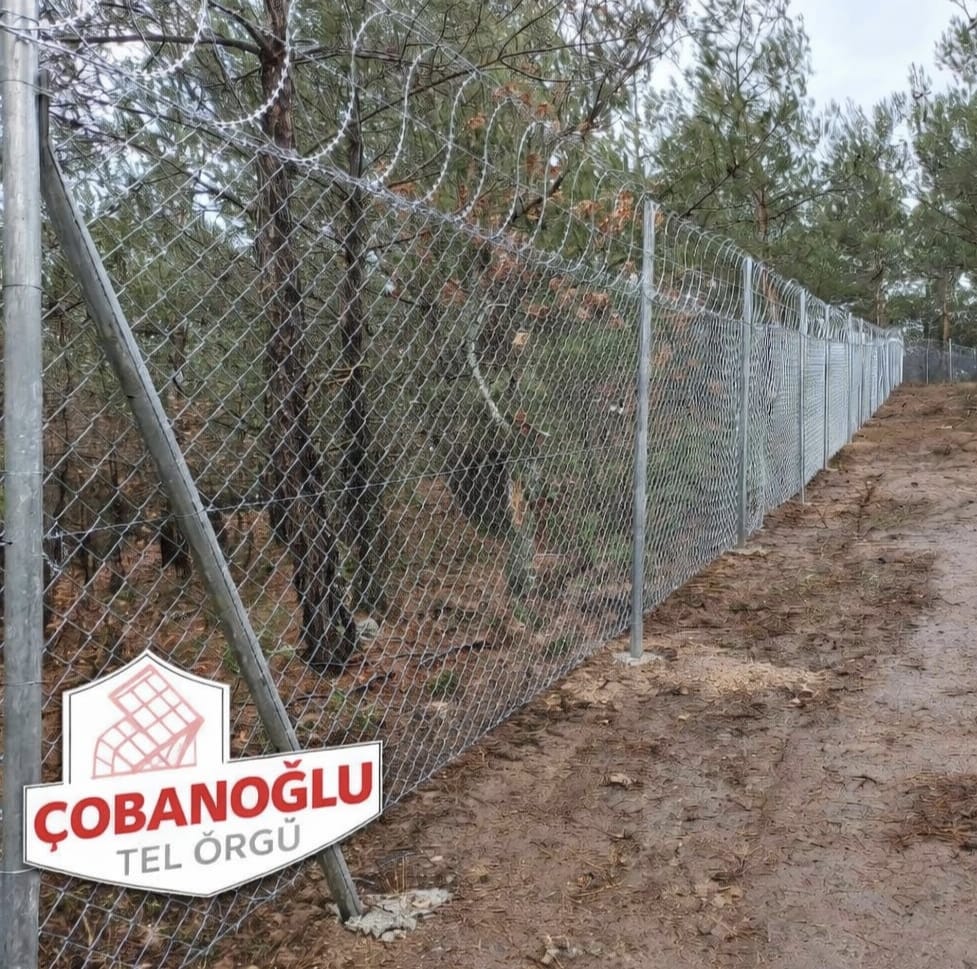 Tel Çit